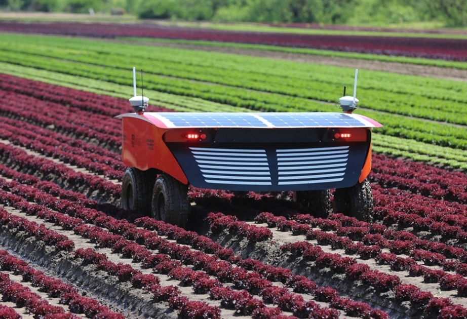 Robots están listos para ayudar a los agricultores australianos