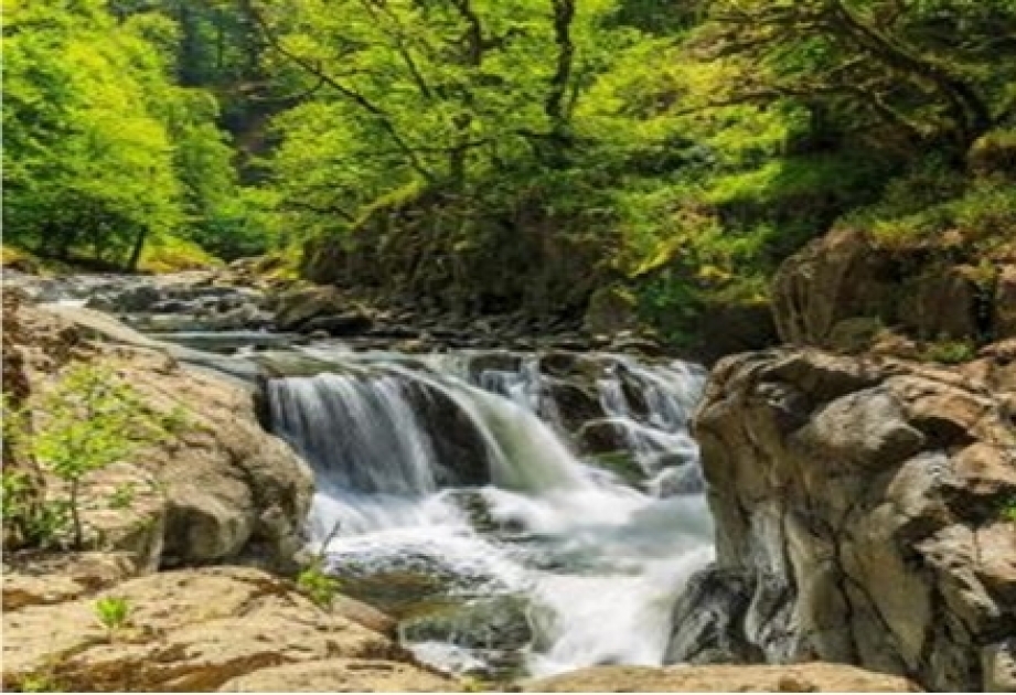 Descubriendo Azerbaiyán: Naturaleza de Azerbaiyán