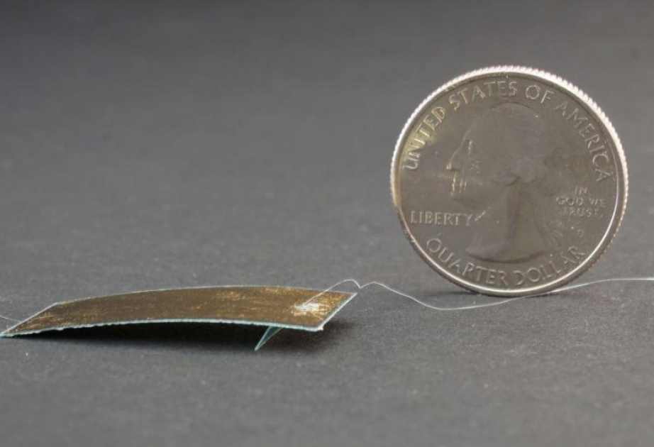 Ученые разработали сверхпрочного робота размером с таракана