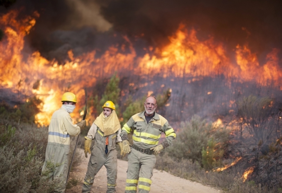 Житель Канарских островов со сварочным аппаратом сжёг тысячу гектаров леса
