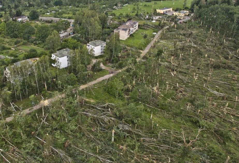 В Беларуси ураган повалил лес на общей площади около 90 гектаров