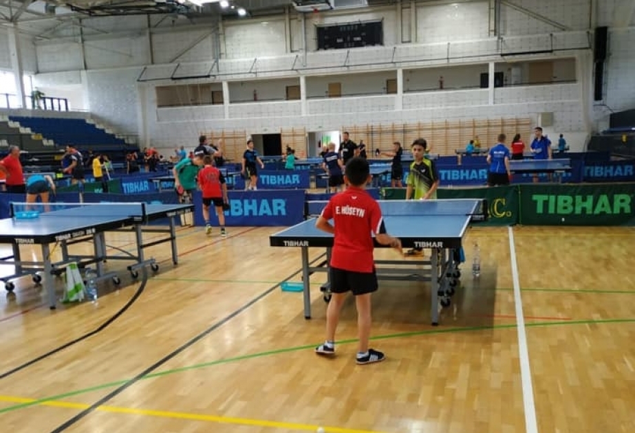 Stolüstü tennisçilərimiz Macarıstanda təlim-məşq toplanışında iştirak edirlər