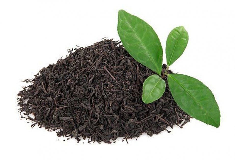أذربيجان تصدر 832 طن من الشاي خلال السبعة أشهر