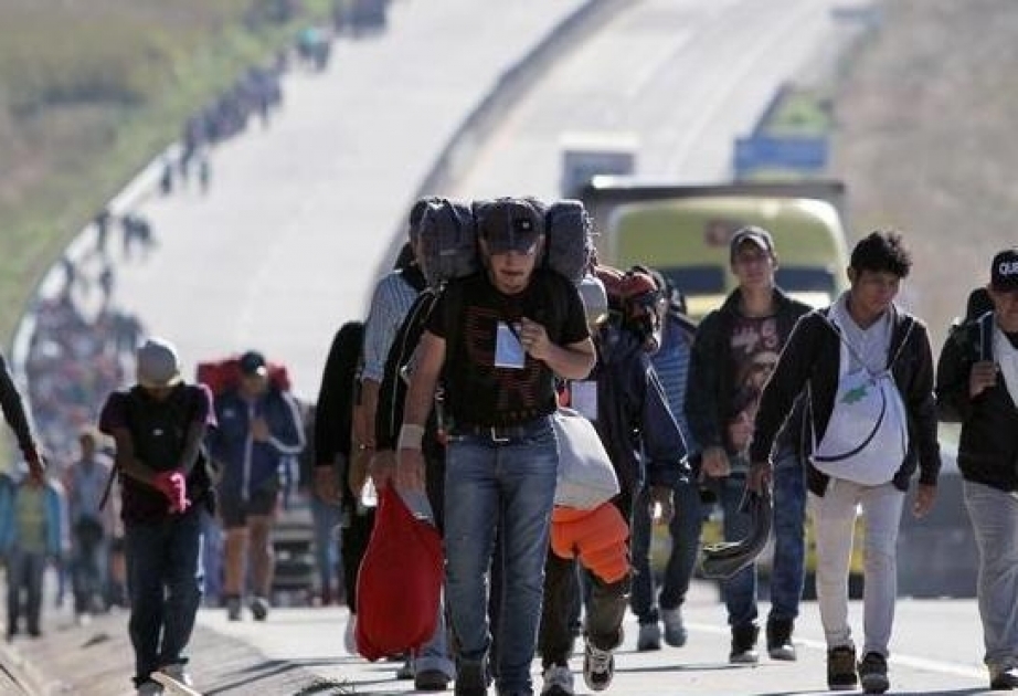 ООН заявила о росте смертности мигрантов в Северной и Южной Америке