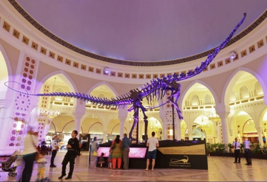 Dubayda dinozavr skeleti təxminən 4 milyon dollara hərraca çıxarılır