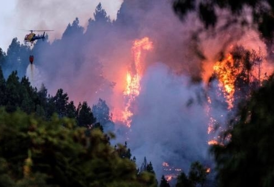Incendio de Gran Canaria: el fuego avanza "fuera de capacidad de extinción" con 9.000 evacuados