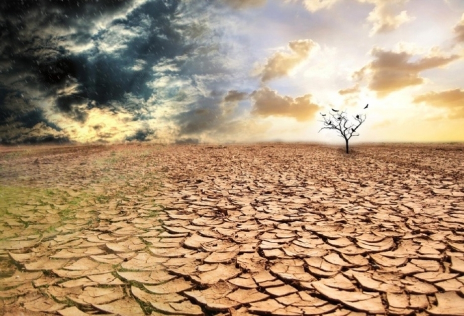 Если средняя температура на Земле повысится более чем на 2 градуса, плодородные земли опустынятся