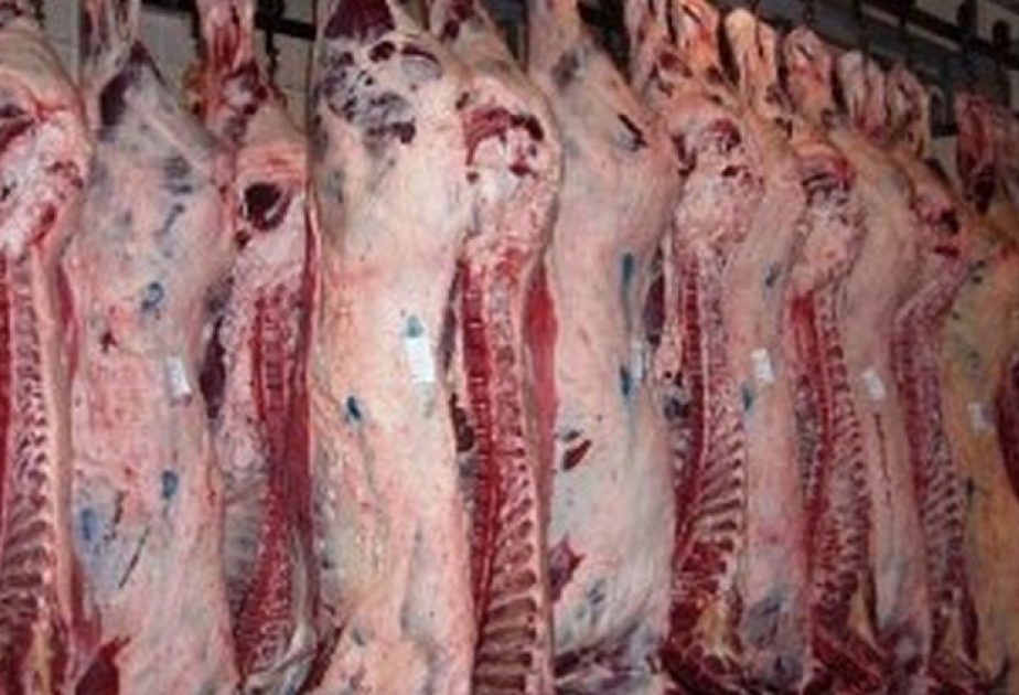Ermənistanda “Sibir qarayarası” halları aşkar edilib