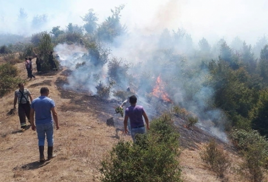 نشوب حريق في متنزه هيركان الطبيعي الوطني