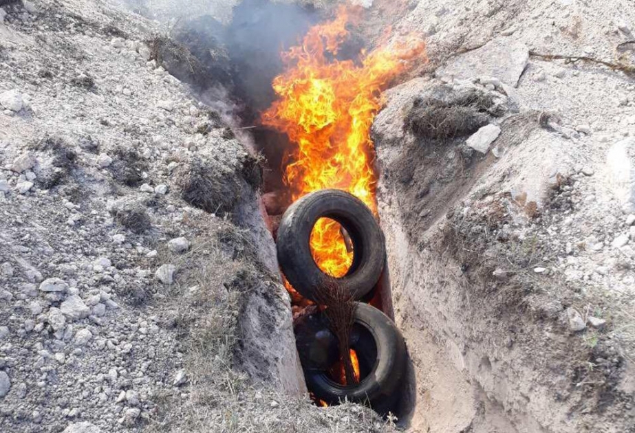 Ermənistanda “Sibir qarayarası”na yoluxanların sayı artır