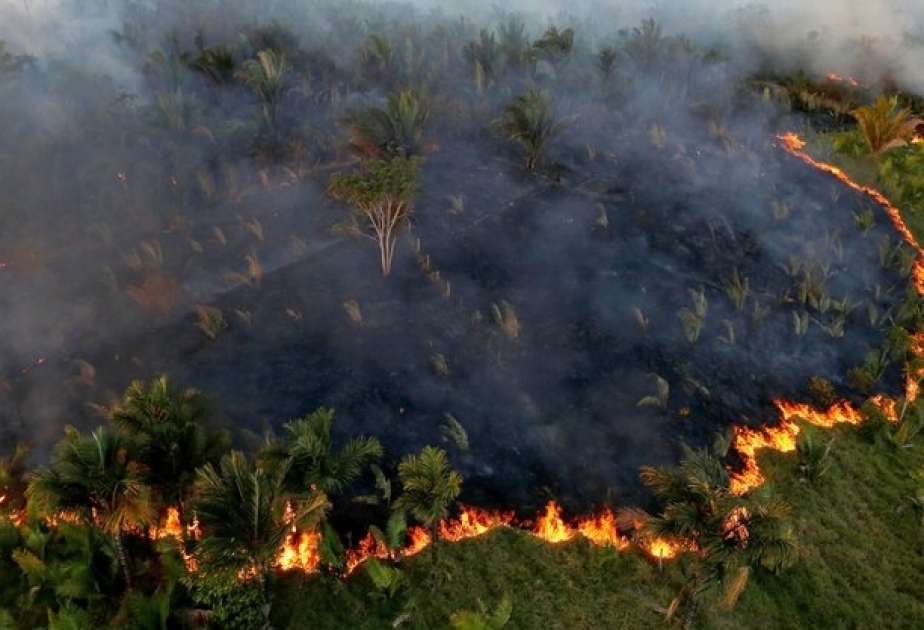 Autoridades brasileñas han establecido una sede de crisis para los incendios del Amazonas