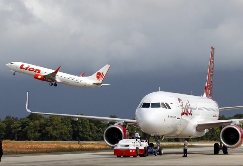 Индонезия допустила отказ от покупки Airbus из-за торгового конфликта с Евросоюзом