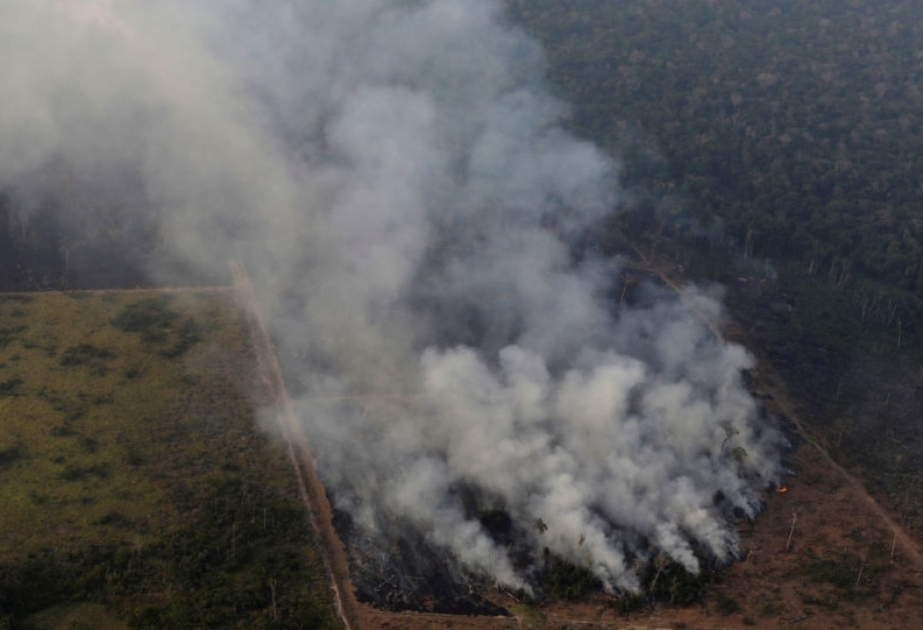 Manifestantes en Londres y Berlín exigen actuar contra los incendios forestales en Brasil
