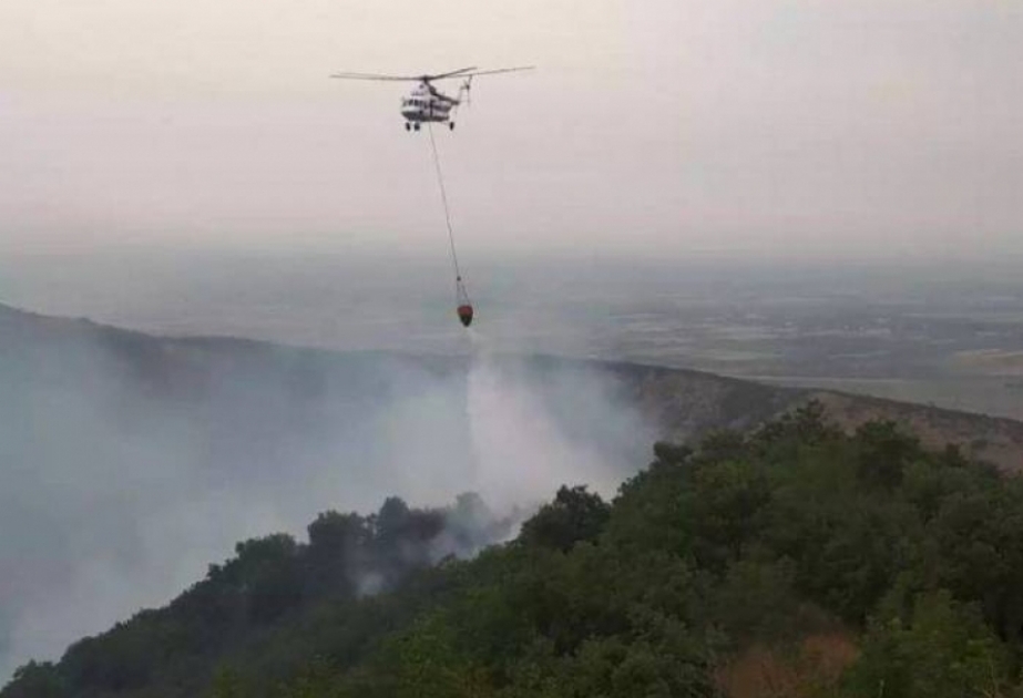 تسخير مروحية وطائرة إطفاء لإطفاء الحريق الناشب في غابات بمنطقة غابالا الجبلية – إضافة