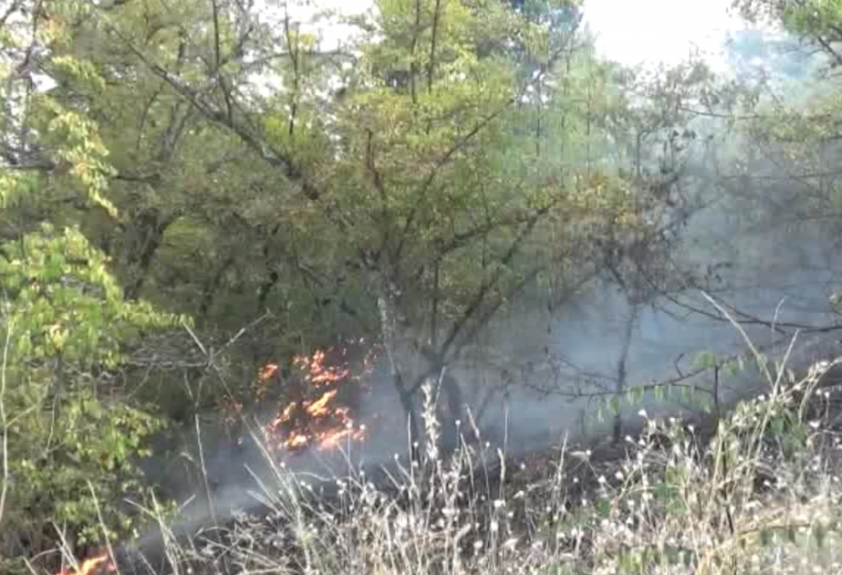 الطوارئ تكافح الحريق المستمر في 3 قرى في إسماعيلي