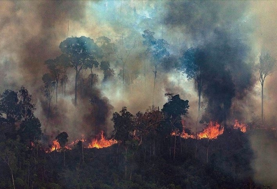 Une aide d’urgence de 20 millions d’euros pour l’incendie en Amazonie