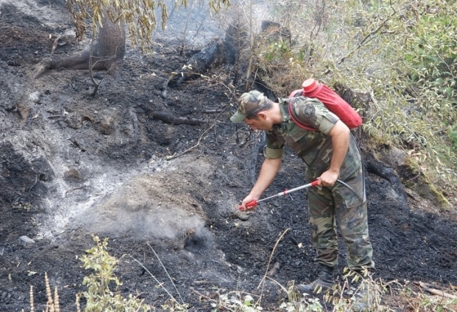 الطوارئ: نشب حريق في غابات قرب قرية جمعلار بمحافظة برده