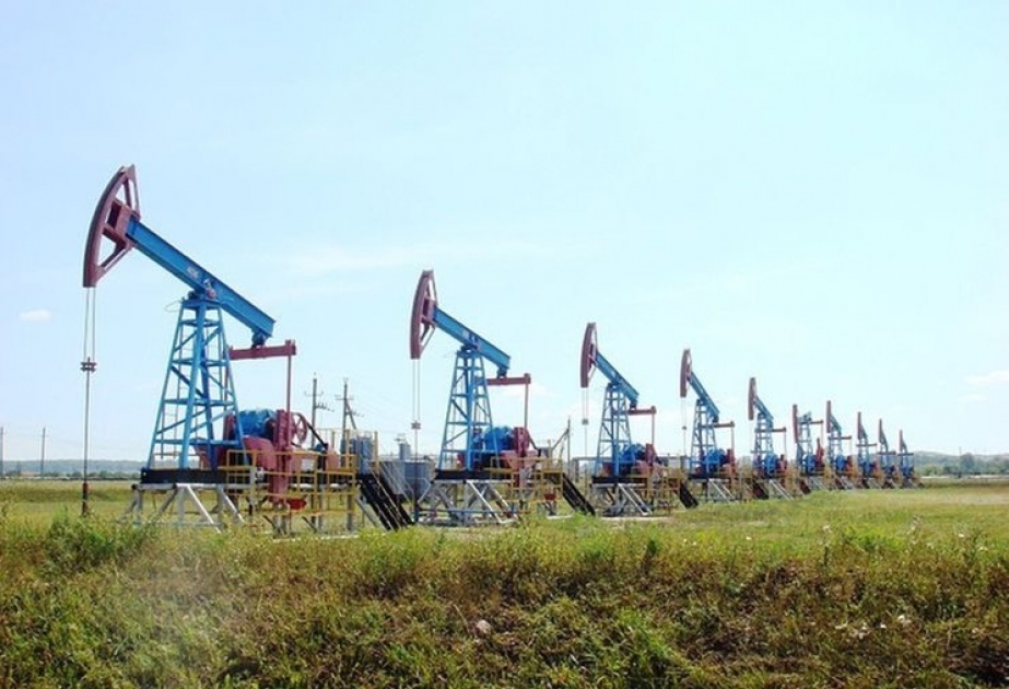 Комитет ОПЕК+ прогнозирует серьезное снижение мировых запасов нефти