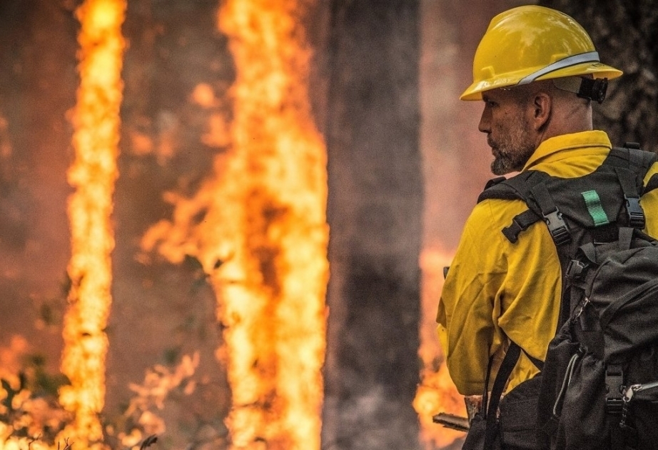 Amazon rainforest fires: Brazil to reject $20m pledged by G7
