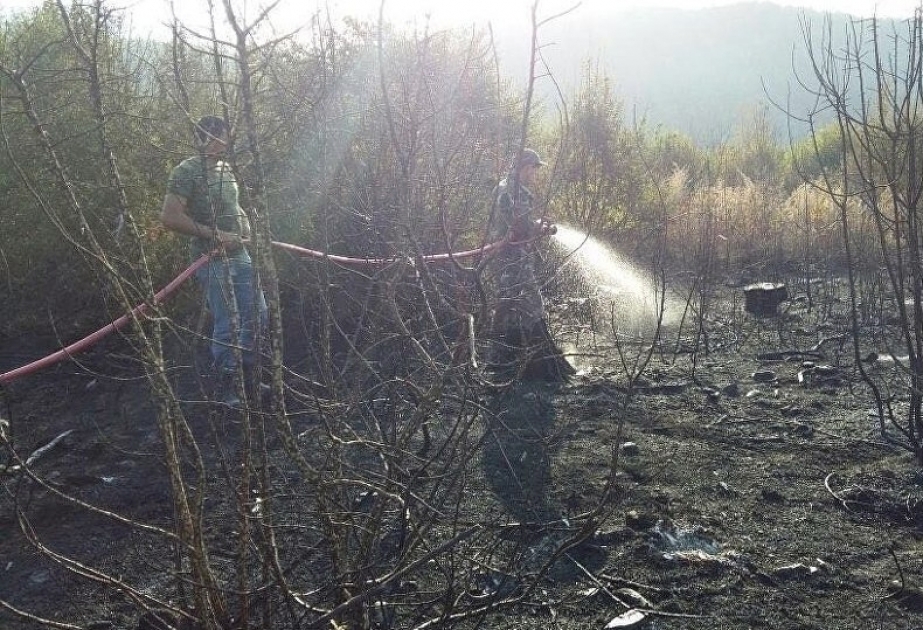 الطوارئ: نشوب حريق قرب قرية سوسكند بمحافظة قاخ – إضافة