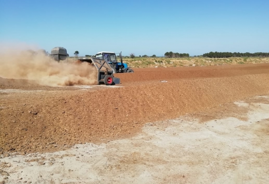 Aserbaidschans Region Siyazan beginnt Vogeldünger zu produzieren