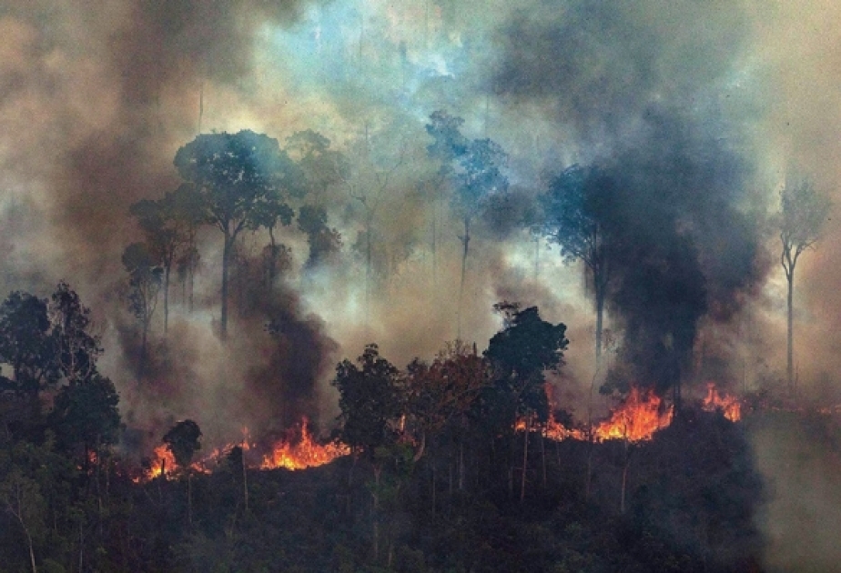 Brasil ha aceptado la ayuda británica a la Amazonia