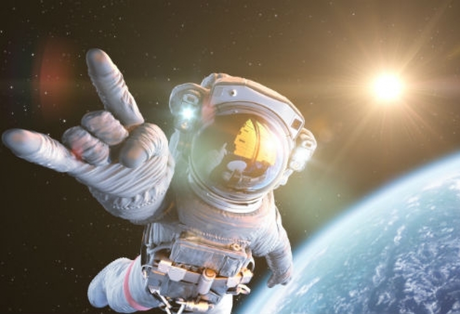 Турецкого астронавта-космического туриста могут подготовить за полгода