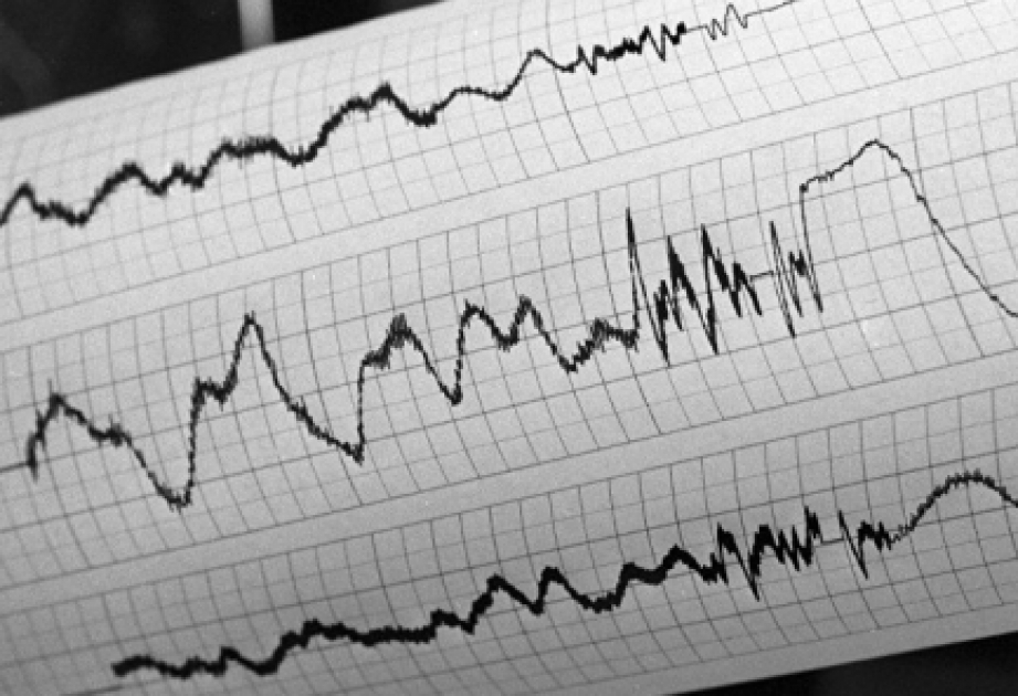 У берегов Японии зафиксировано землетрясение магнитудой 6,1