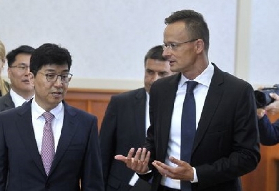 Южная Корея вытесняет Германию из Венгрии