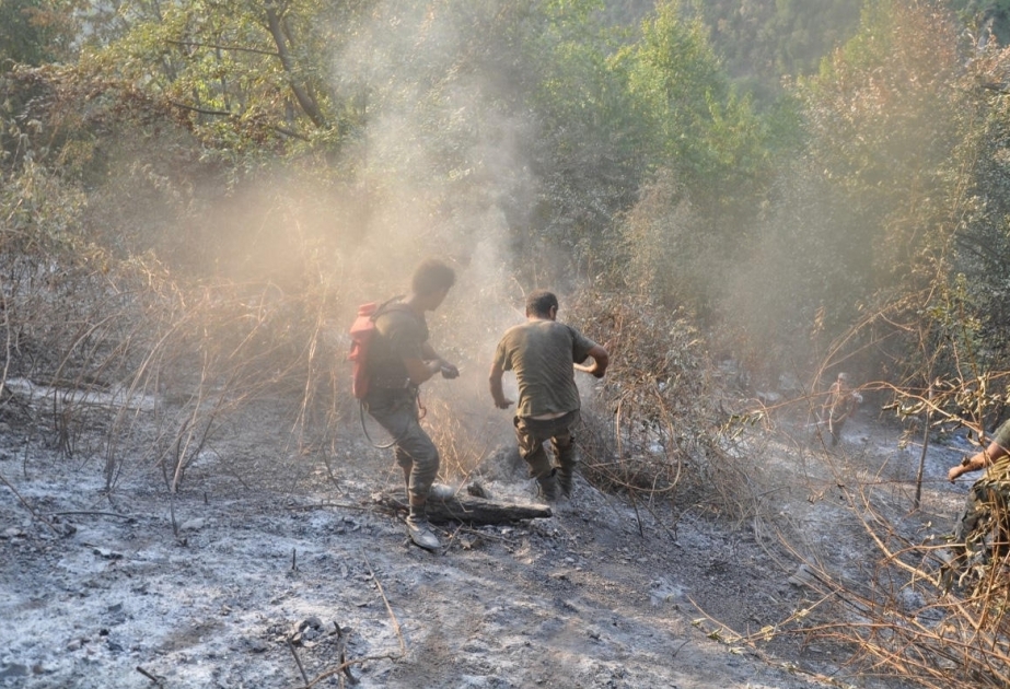 إطفاء الحرائق الناشبة لدى المناطق الجبلية بمحافظة أقصو