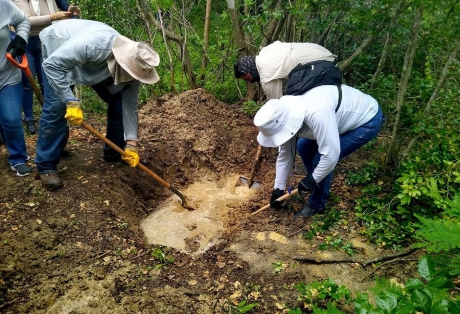 Cerca de 2,000 piezas de hueso de la mano fueron encontradas en un basurero en México