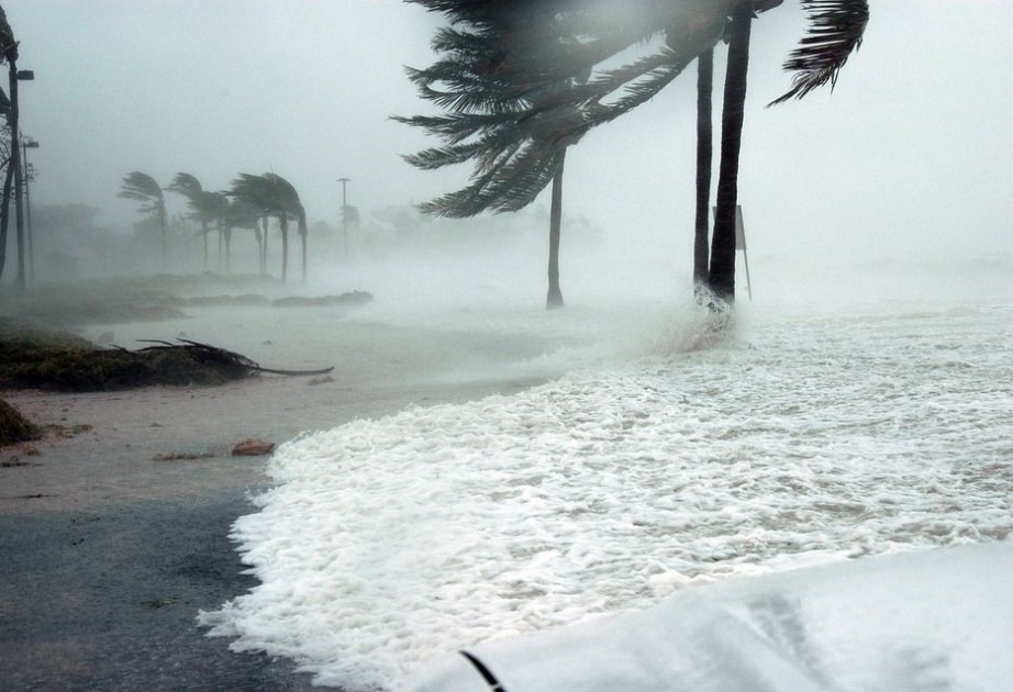 Florida residents told to stock up on food, water as hurricane nears