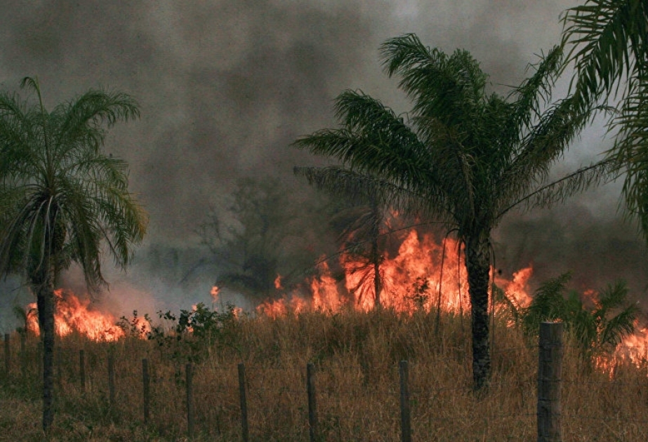 Argentina envía otro grupo de 220 personas para combatir incendios forestales en Bolivia