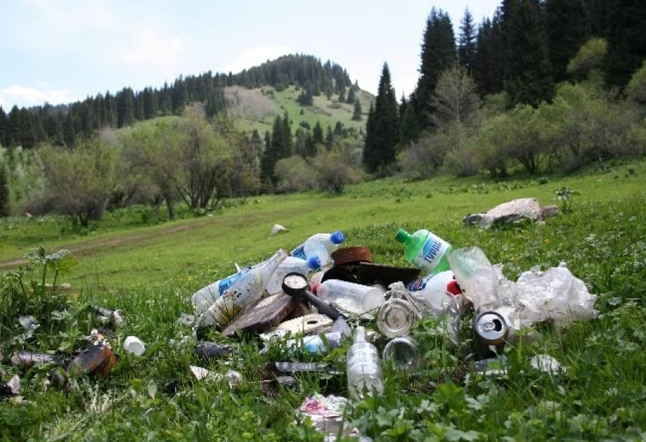 Эверест и многие другие горные районы завалены горами мусора