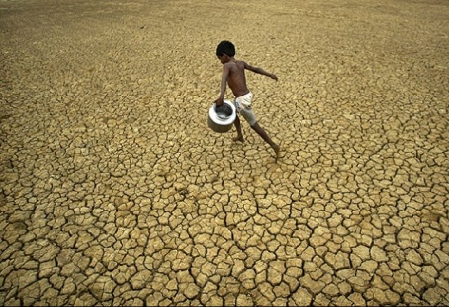 Nueva Delhi acoge la COP14