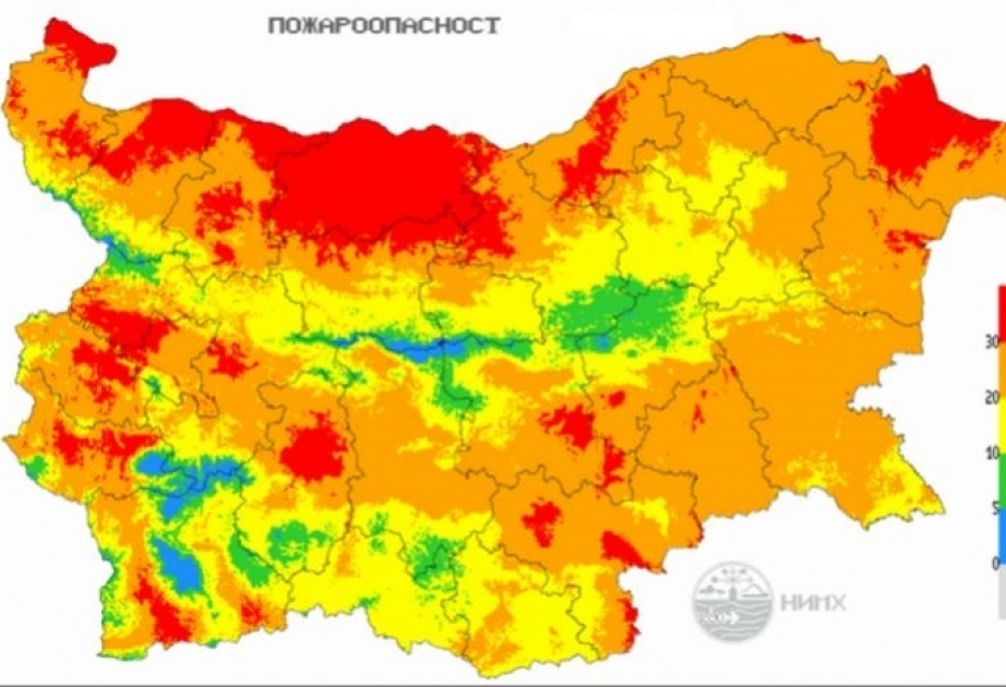 Bolqarıstanda meşə yanğını səbəbindən fiziki qüsurlu uşaqlar internatdan təxliyə ediliblər