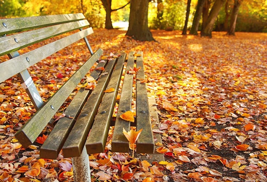 Equinoccio de Otoño 2019: La ciencia detrás del cambio de estación