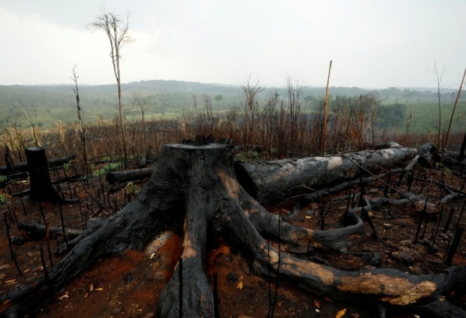 In Brasilien wüten schwerste Brände seit Jahren