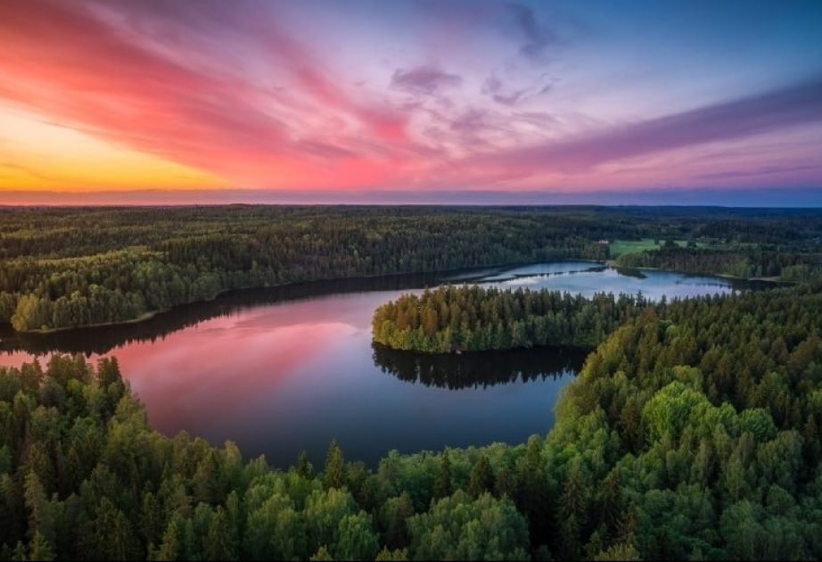 Финляндия названа лучшим туристическим направлением в Глобальном индексе для путешествий по дикой природе за 2019 год
