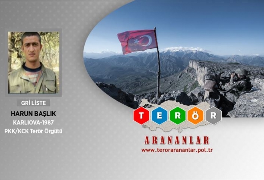 Türkiyədə daha bir təhlükəli terrorçu məhv edilib