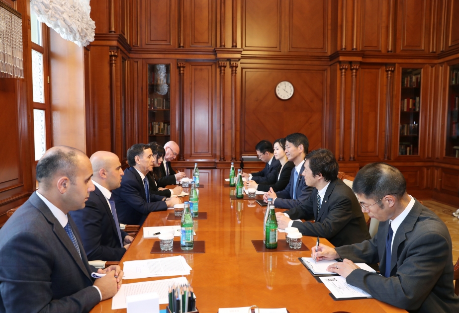 Prime Minister Novruz Mammadov meets with Japanese parliamentary vice-minister for foreign affairs
