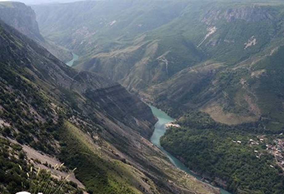 Rostovlu alim Qafqazda üç yeni heyvan növü aşkar edib