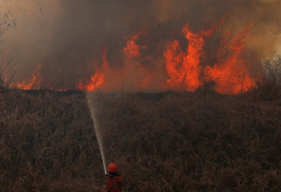 Новая структура в помощь правительствам при борьбе с лесными пожарами