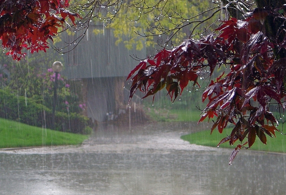 Havanın temperaturu enəcək, yağış yağacaq, külək əsəcək