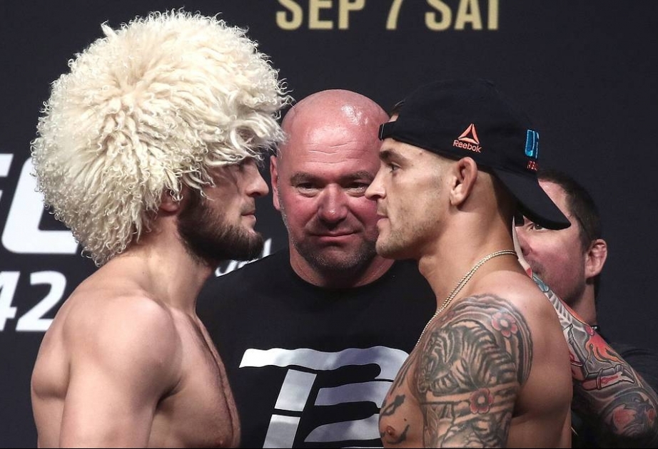 Нурмагомедов в Абу-Даби постарается защитить титул чемпиона UFC в поединке с Порье