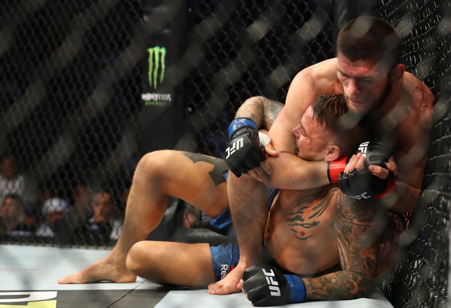 "UFC 242": Həbib Nurməhəmmədovun 28-ci döyüşü və 28-ci qələbəsi