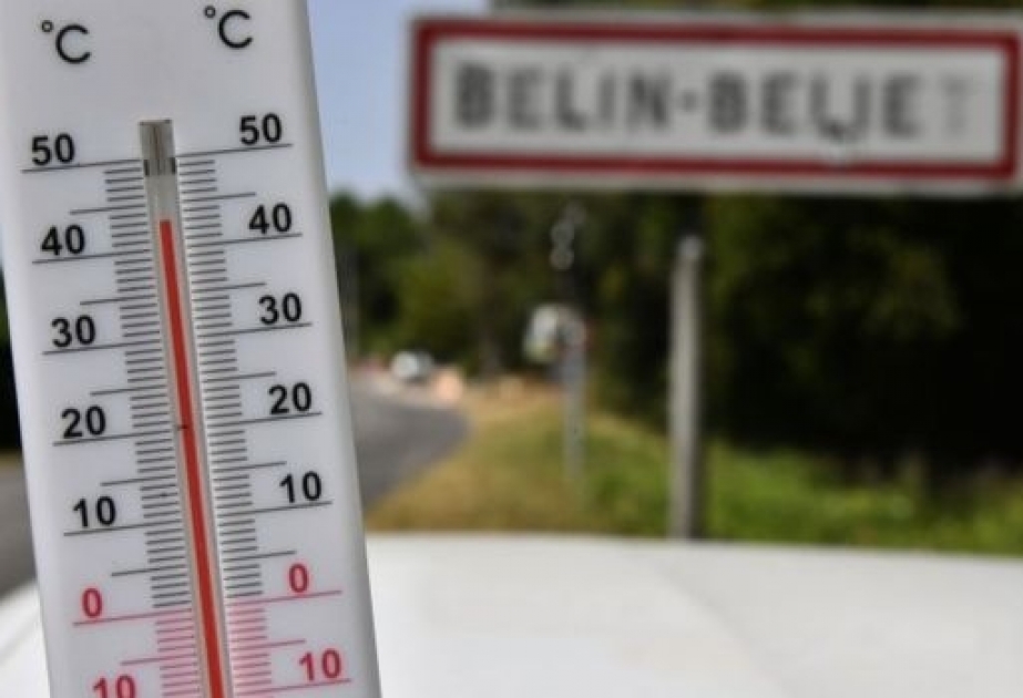 Франция опубликовала официальные данные о жертвах аномальной жары этого года