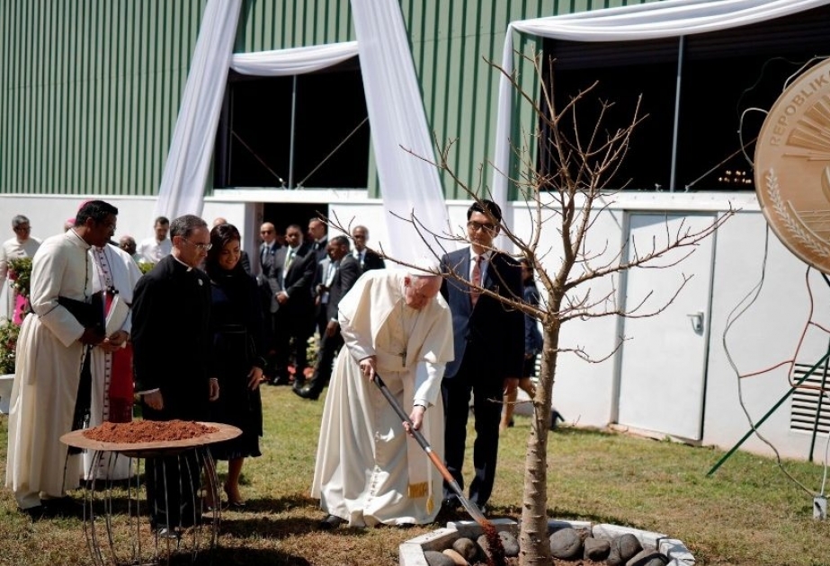 El Papa y el Presidente de Madagascar plantan un árbol de baobab