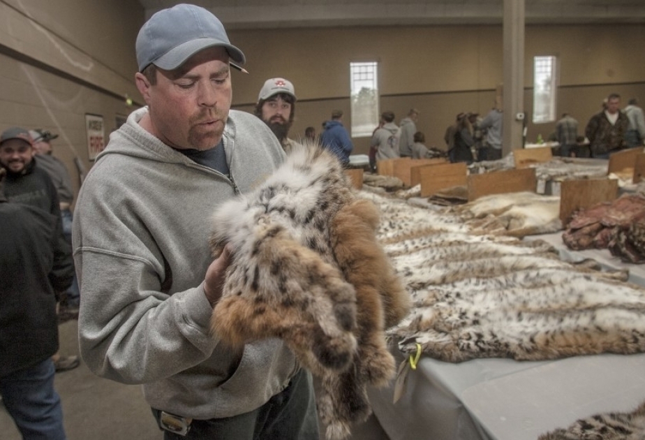 California becomes first state to ban fur trapping