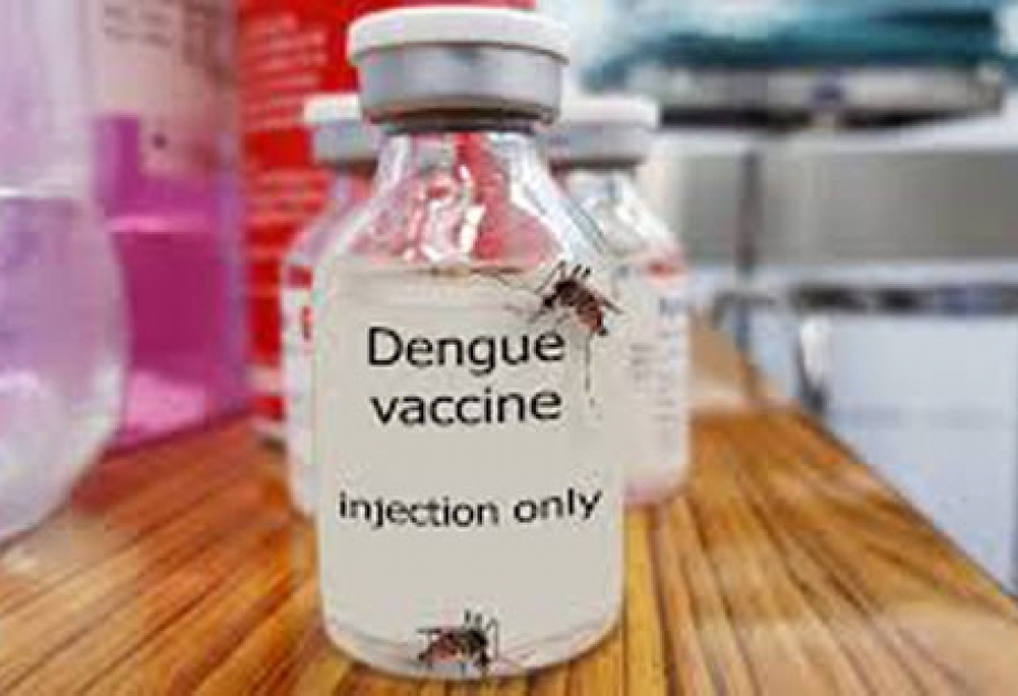 Свыше тысячи человек умерли от лихорадки денге на Филиппинах с начала года